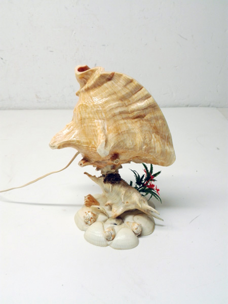 lampara sobremesa caracola marina 1u